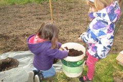 POTAGER-TPS-PS_30
