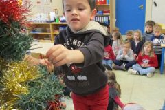 SAPIN-MS-GS_07