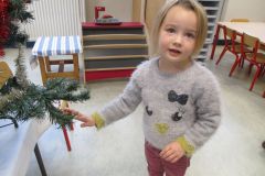 SAPIN-MS-GS_12