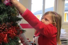 SAPIN-MS-GS_19