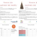 Noel c’est bientôt ! Commandez vos sapins par le biais de l’APEL