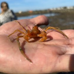 kerner-cm2-octobre-2025-3