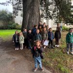 Sortie en forêt