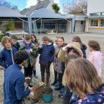 Les élèves participent à l’embellissement de la cour de l’école