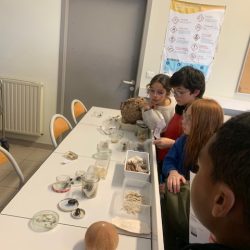 visite-college-fevrier-2026-1